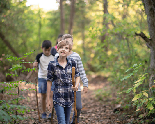812 trees planted in the United Kingdom