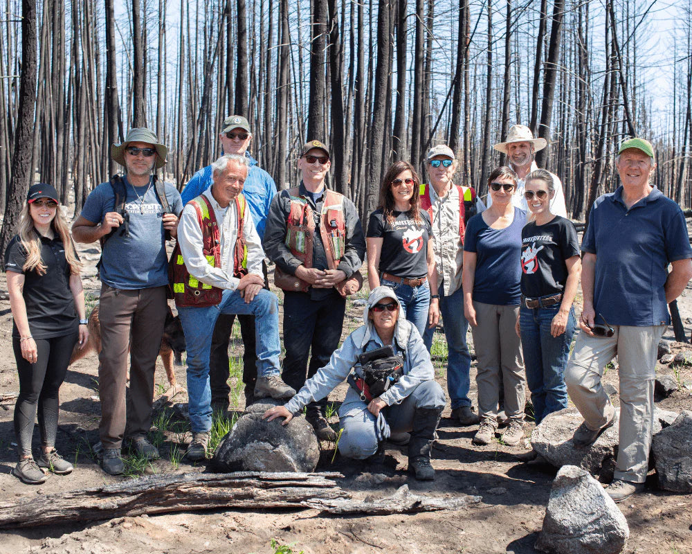 504 trees planted in British Columbia