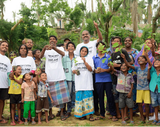 35 trees planted in India